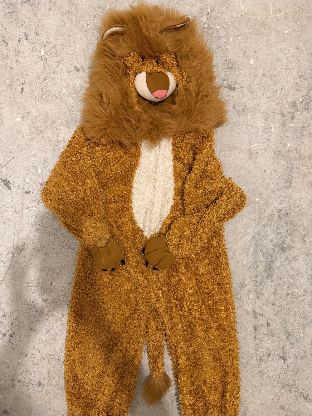Kids Brown Lion Costume Plush One-Piece with Hood